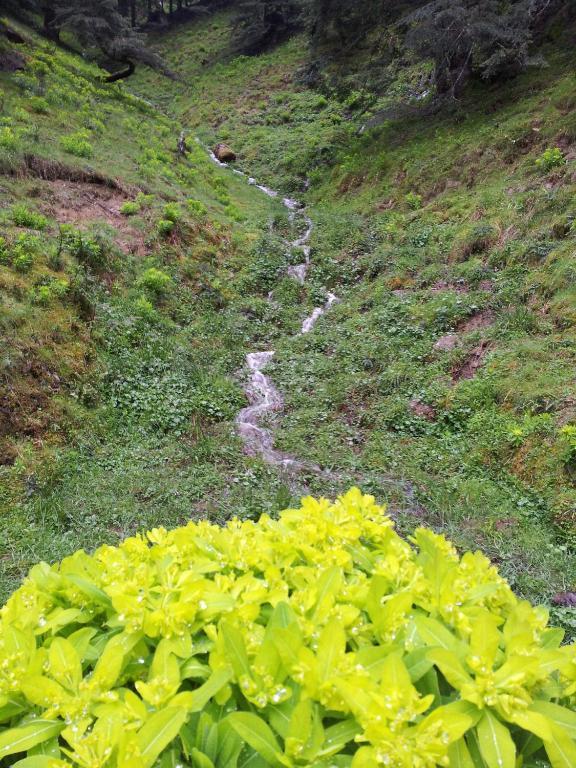 Auberge La Bergerie Sainte-Marie-de-Campan Dış mekan fotoğraf